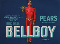 Bellboy
