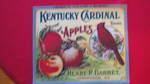 Kentucky Cardinal