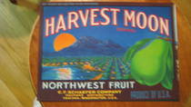 Harvest Moon