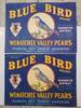 Bluebird older versions