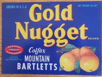 Gold Nugget Pacific Fruit X