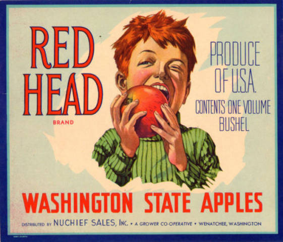 Red Head Nuchief Fruit Crate Label