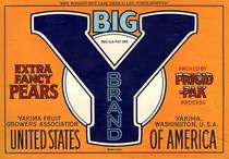 Big Y NWNLT42LBS WS 1928 Mid