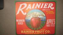 Red Rainier 40LB