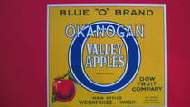 Blue O