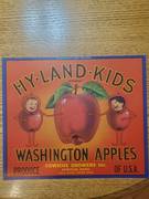Hyland Kids Orange Bushel