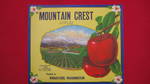 Mountain Crest