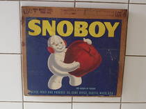 Snoboy Mahre brothers