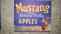 Mustang