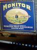 Monitor