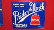 Pride Of The North