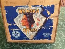 Wenoka Blue Star