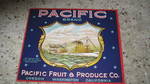 Pacific Battleship