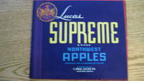 Supreme Lucas