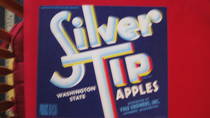 Silver Tip