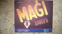 Magi