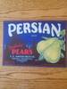 Persian