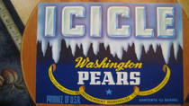 Icicle