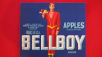 Bell Boy