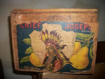 Chief Joseph