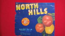 North Hills