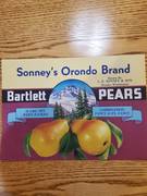 Sonney's Orondo