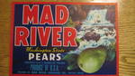 Mad River Fancy