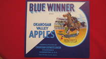 Blue Winner