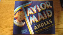 Taylor Maid