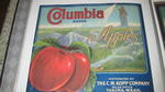 Columbia 40LBS at top