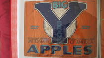 Big Y
