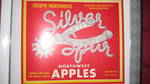 Silver Spur