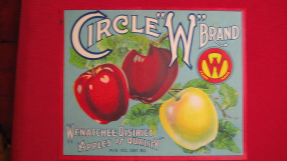 Circle W Fruit Crate Label
