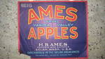 Ames