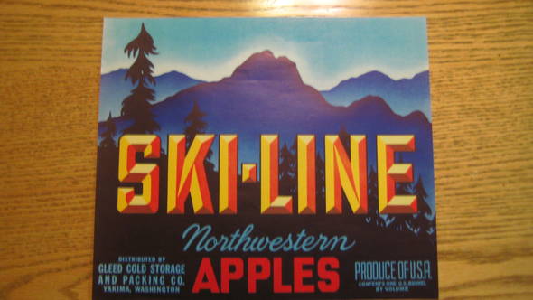 Ski-Line Fruit Crate Label