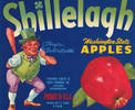Shillelagh