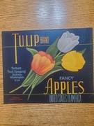 Tulip Fruit Company No Dist