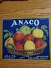 Anaco Portland Small Contents