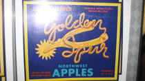 Golden Spur