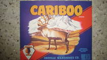 Cariboo