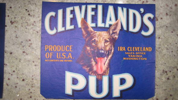 Cleveland's Pup Traung Fruit Crate Label