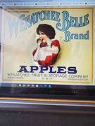 Wenatchee Belle One Bushel