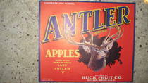 Antler Lake Chelan