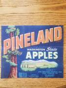 Pineland Blue