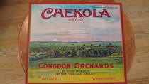 Chekola