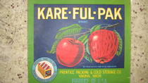 Kare Ful Pak