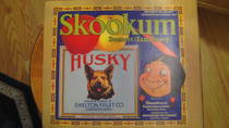 Skookum Husky 