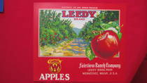 Leedy