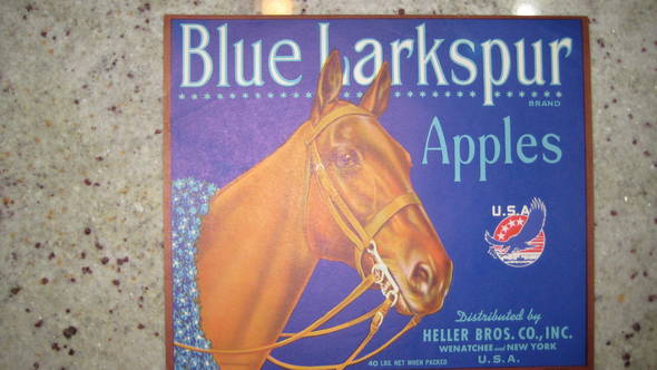 Blue Larkspur Fruit Crate Label
