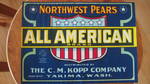 All American 42 LBS